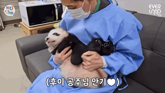 송바오를 시기하고 질투하지만 사실 대리만족 중 | 인스티즈