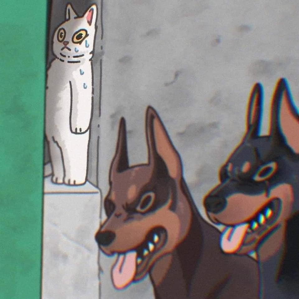 [귀여움대결] 고양이 그림 vs 사진 | 인스티즈
