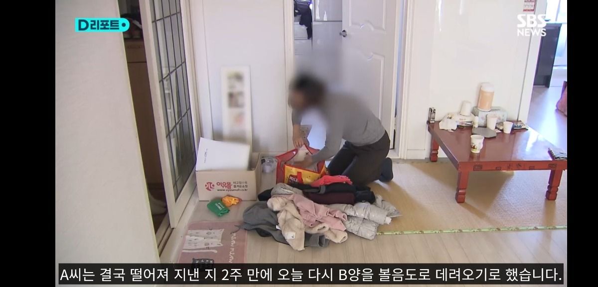 조합장에 말대꾸했다고 초등학생 딸과 떨어져 외딴 섬으로 발령난 농협 여직원 ㄷㄷ | 인스티즈