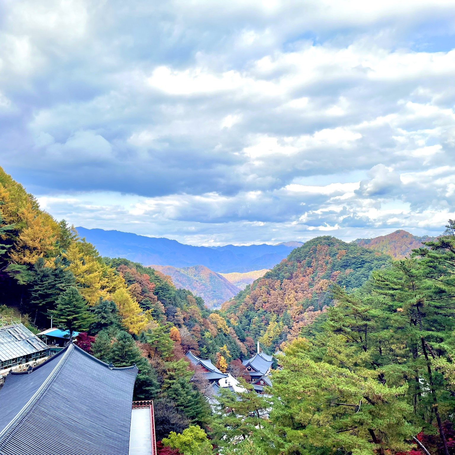 15d7d8593306cb664aa7f3f5d31e6c99772dfe0d