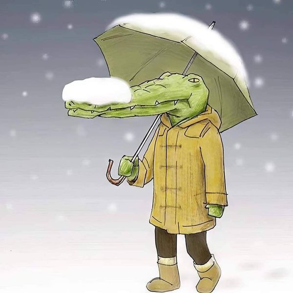 악어로 살면 생길 수 있는 문제들 | 인스티즈