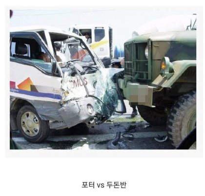 두돈반 이미지