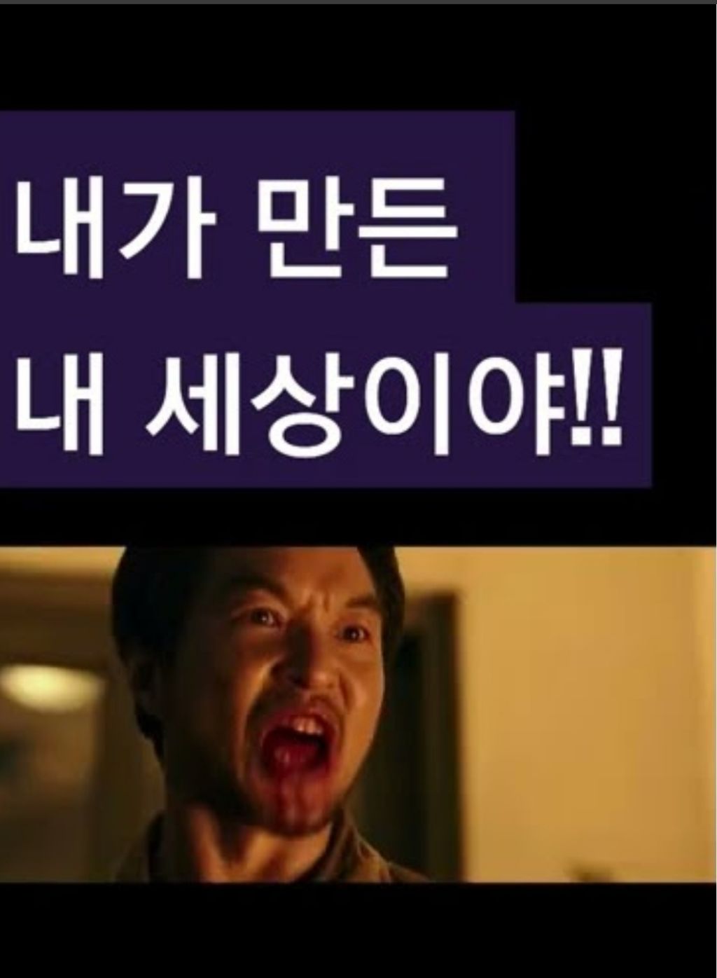 한동훈 부인 - 정치/사회게시판 - 이종격투기