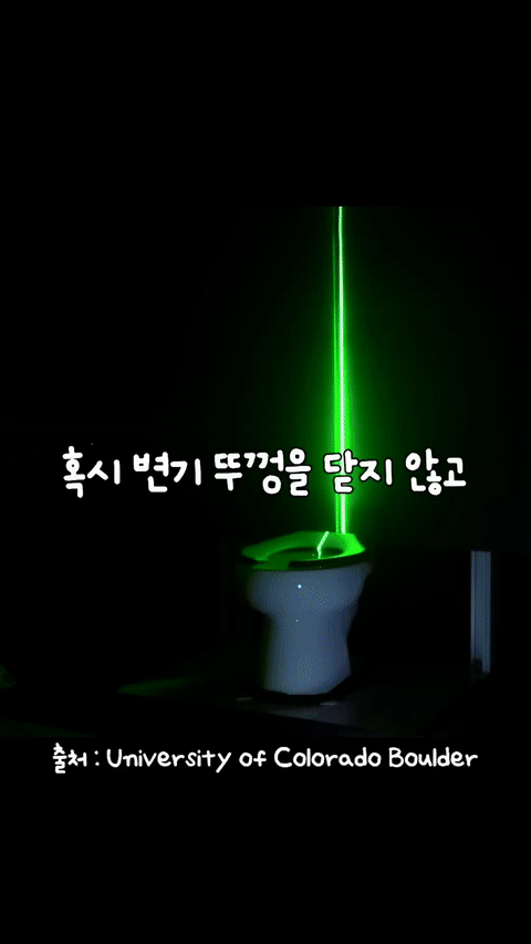 변기 뚜껑 안닫고 물내리기 | 인스티즈