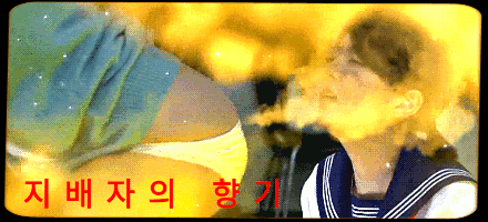 혐) 오토바이 사고 | 인스티즈