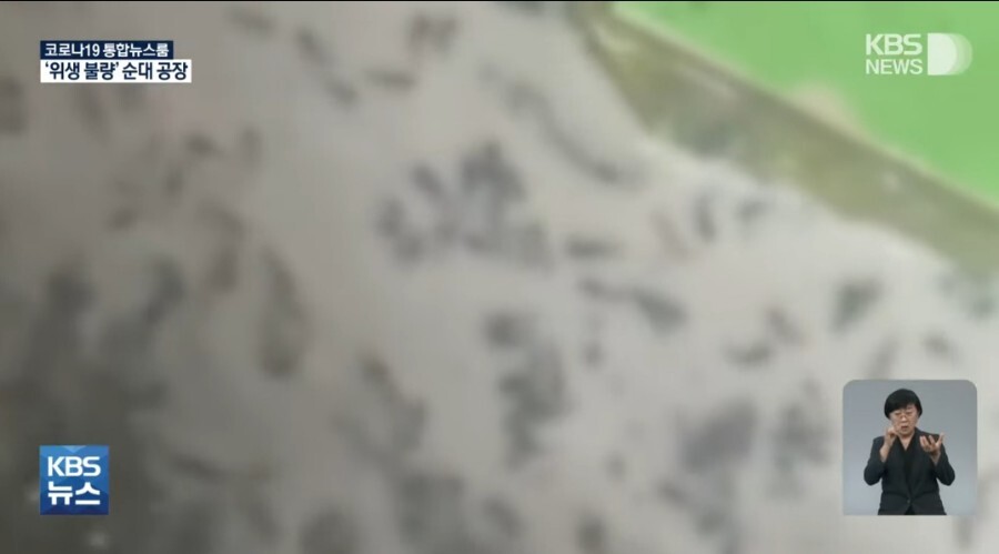 연매출 400억 순대공장의 충격적 위생 실태 .jpg | 인스티즈