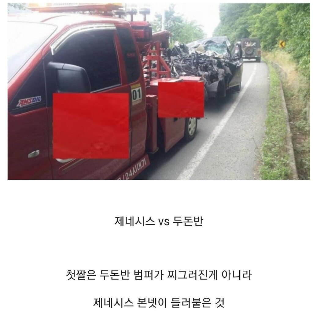 두돈반 이미지