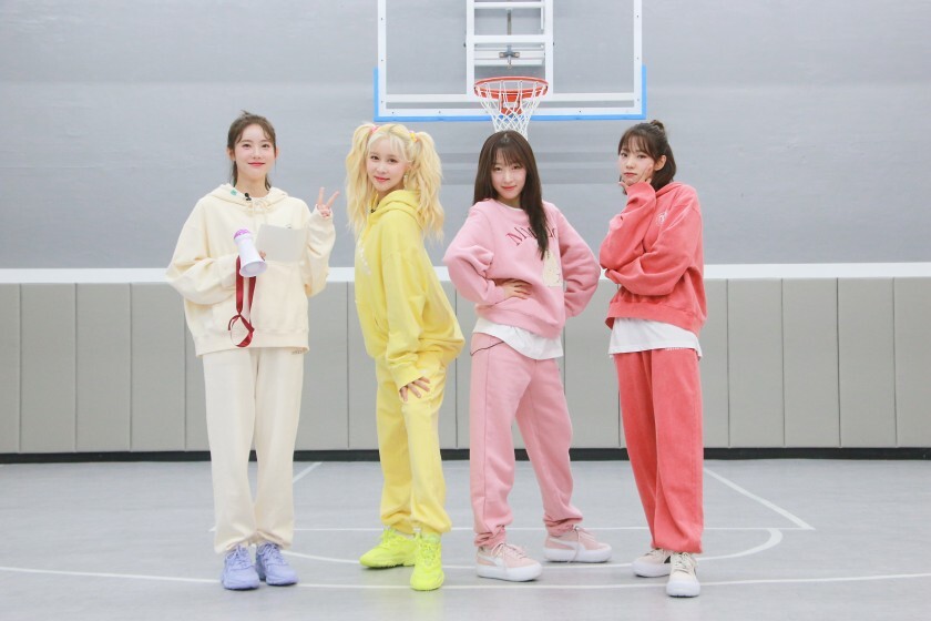쪼꼬미 이미지
