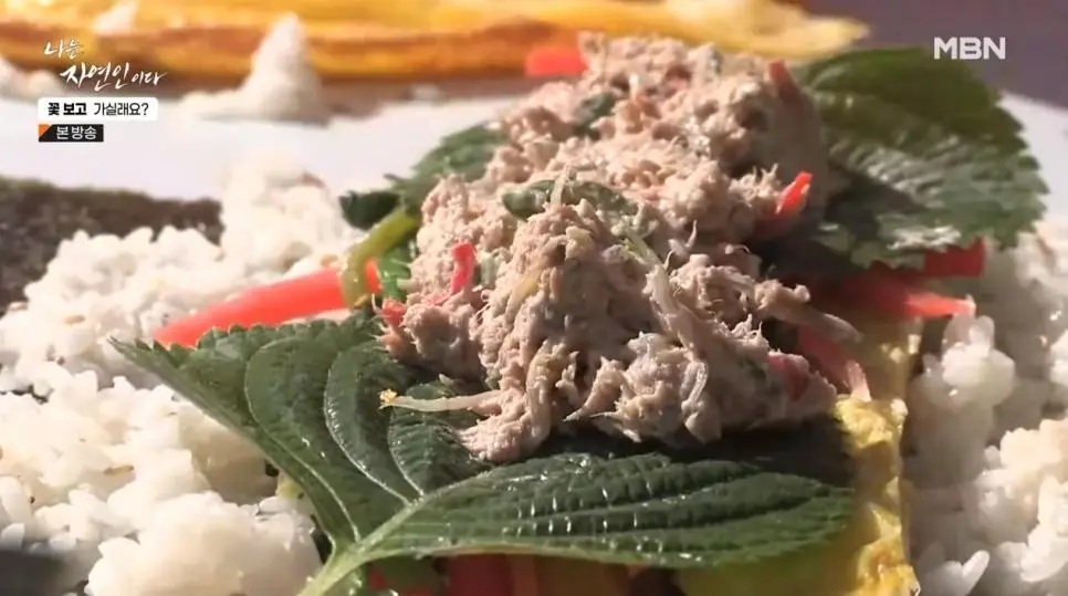 김밥집 사장님이었다는 자연인의 밥상 | 인스티즈