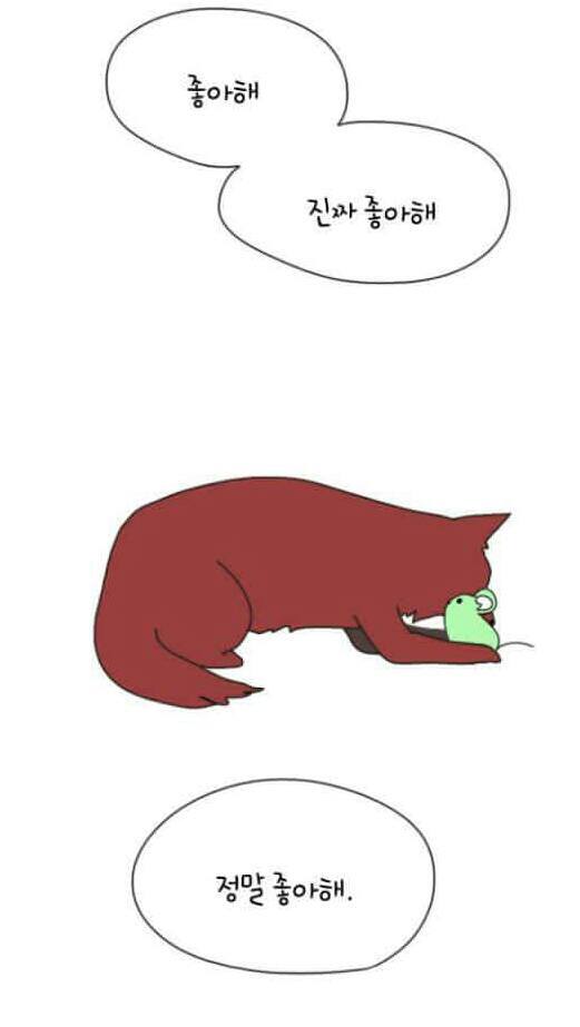 몰랑몰랑 이미지