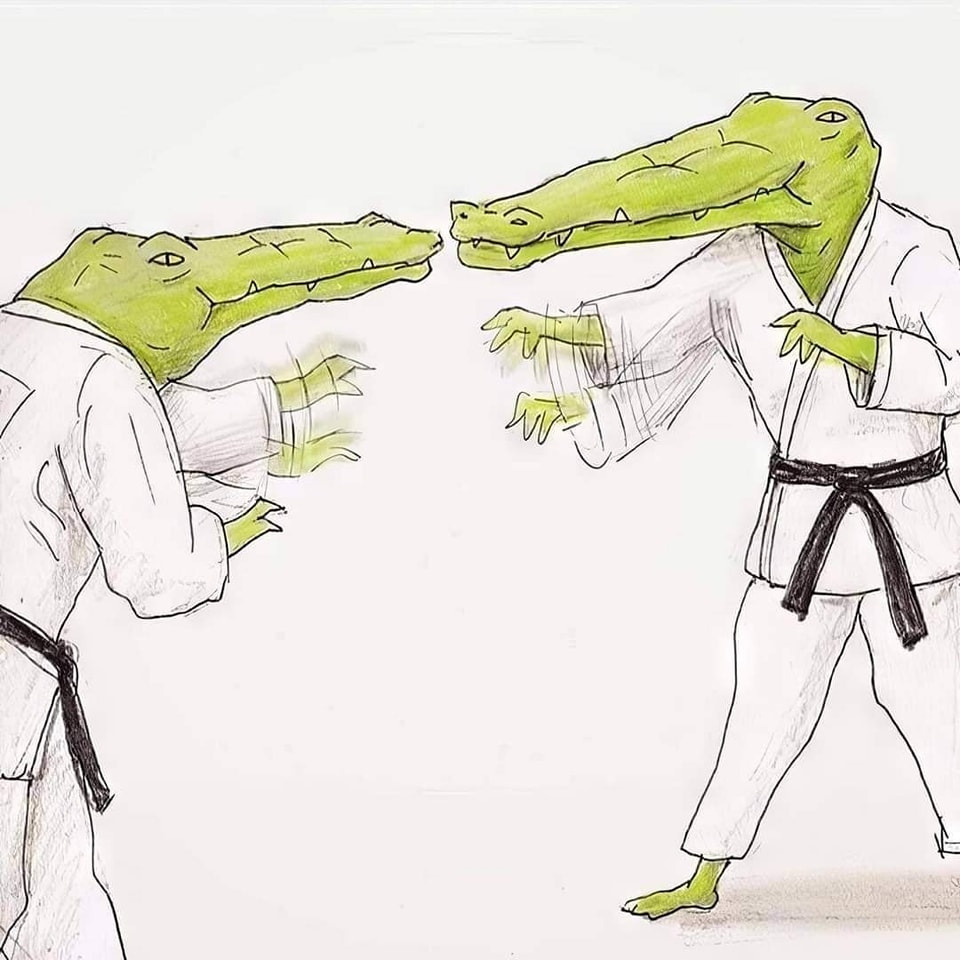 악어로 살면 생길 수 있는 문제들 | 인스티즈