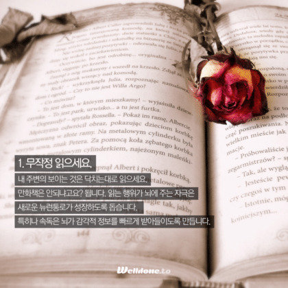 두뇌를 단련시키는 7가지 활동 | 인스티즈