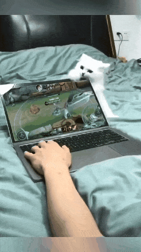 정말 정말 정말 사랑해야 키울 수 있는 동물 | 인스티즈