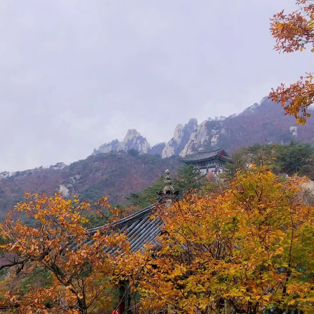 226c73047b03a5ade16b27dcec38d13bce10a33e