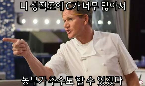 이라면 이미지