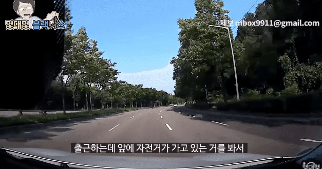 자라니 레전드 총망라 | 인스티즈