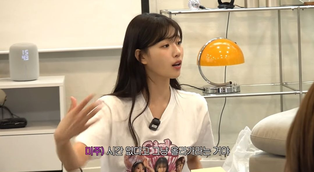 러블리즈 미주가 무대중에 발목인대 파열되고 회사한테 들었던 말 .jpg | 인스티즈