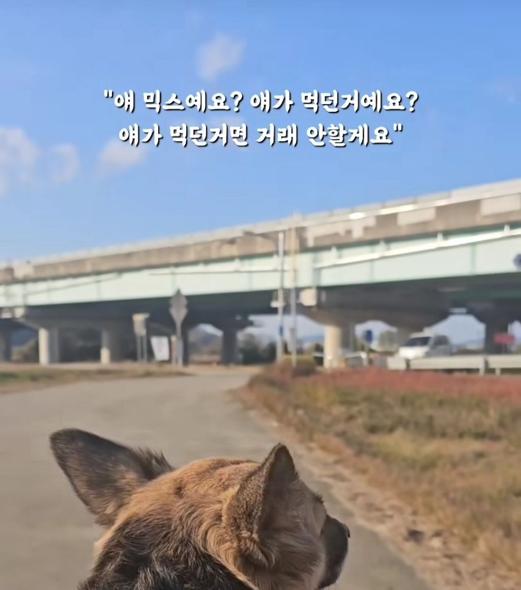 얘 믹스에요? 얘가 먹던거에요? | 인스티즈