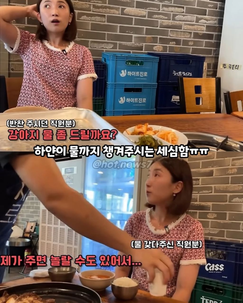 안내견보고 큰소리 내는 식당 | 인스티즈