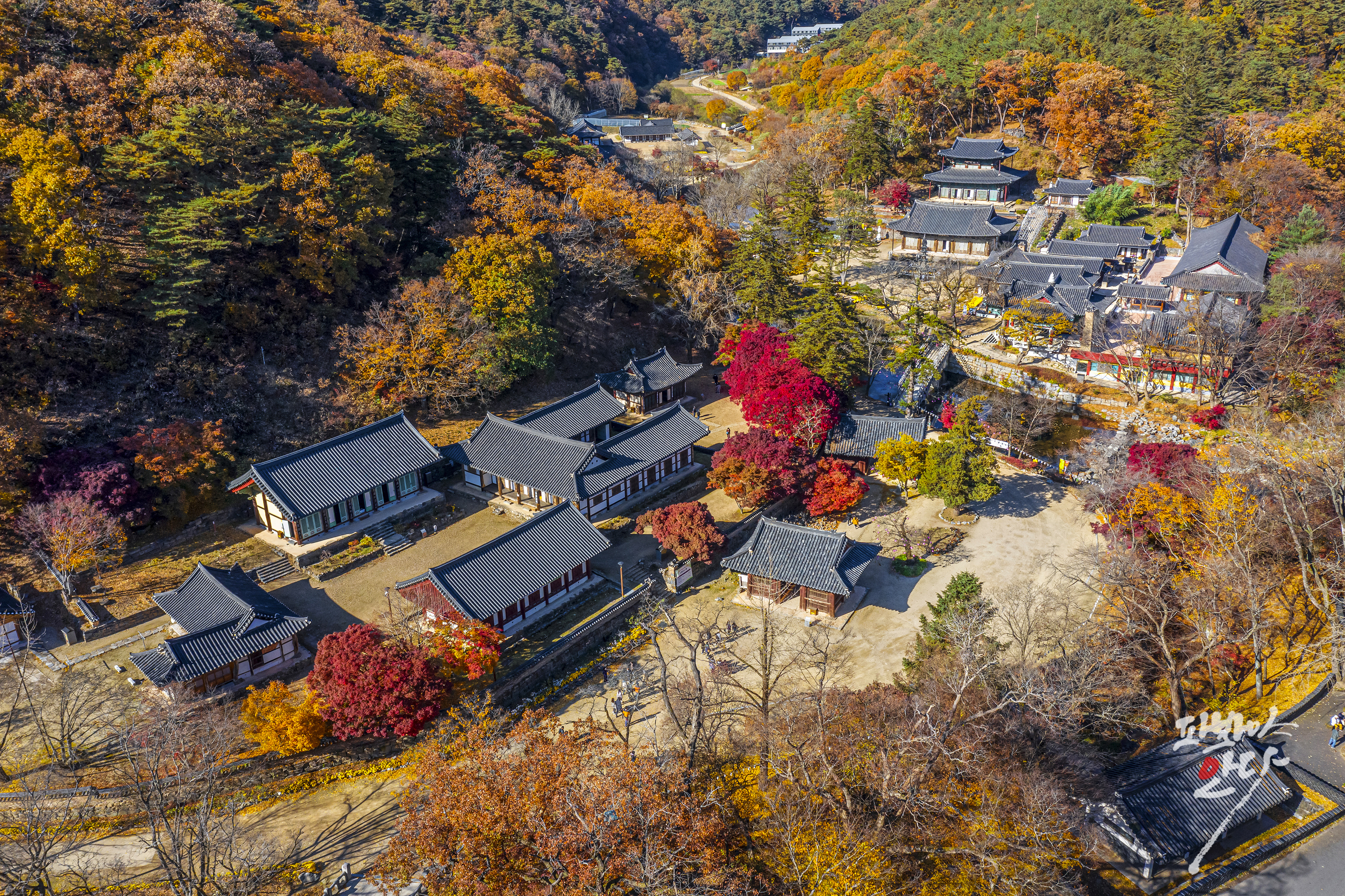 2c8c8f2ecfdc81bb39354c7e8527bf8be0400fee