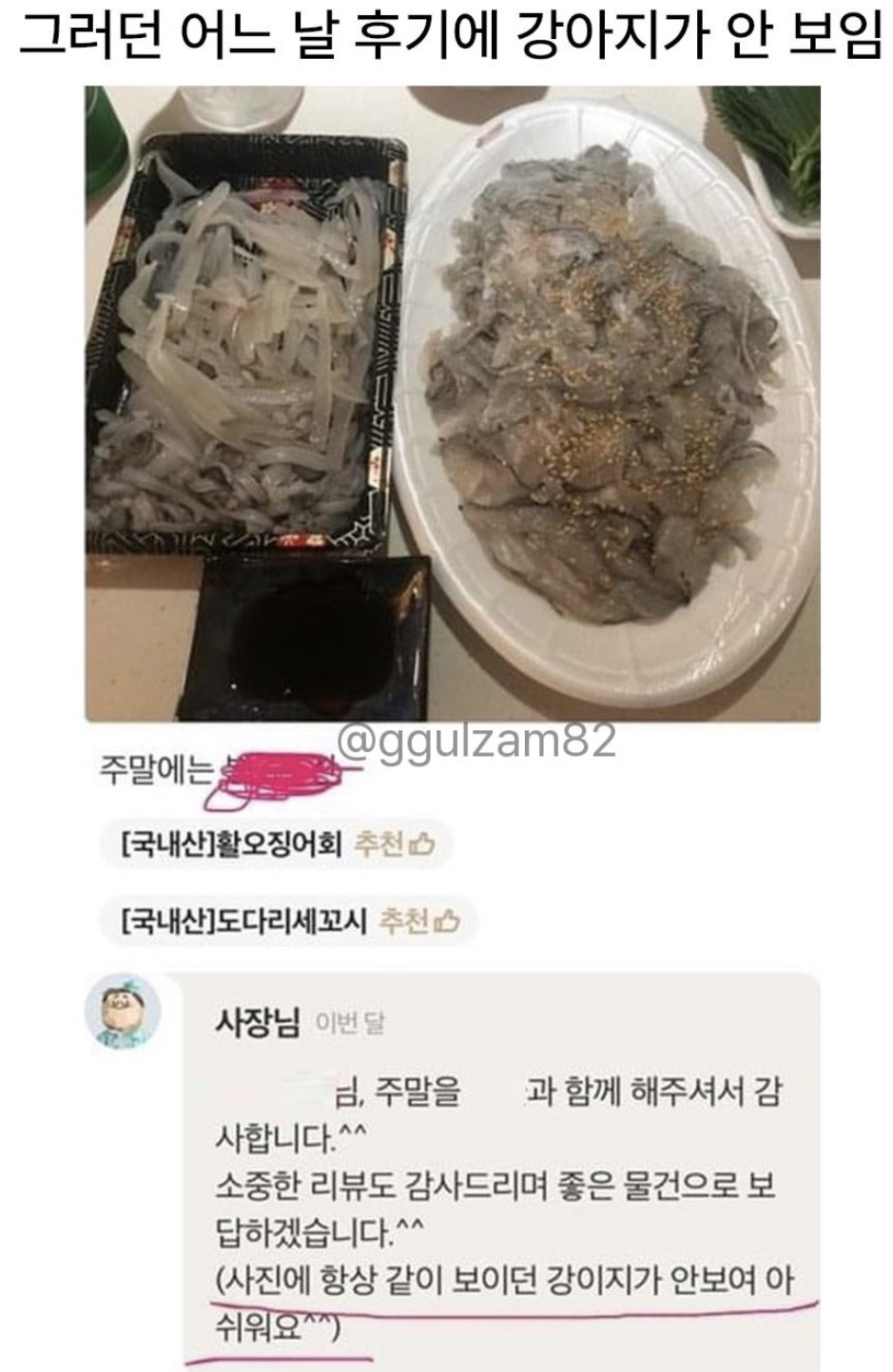 늘 보이던 강아지가 안 보이니 아쉬워하는 사장님.jpg | 인스티즈