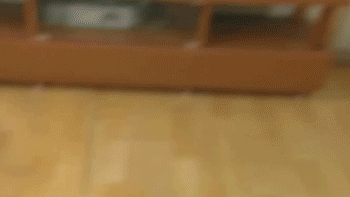 2e5b20517e8737ed4edaa3e4f31939f558d21584