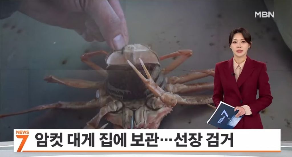  대게가 왜 이렇게 비싼가 했더니... 이유가 | 인스티즈