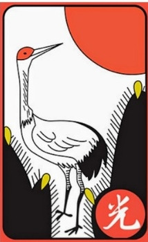 광 이미지