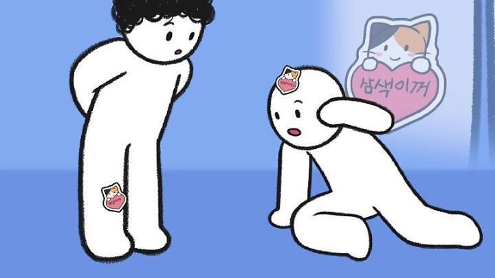 고양이가 집사에게 엉덩이를 들이미는 이유 5가지 | 인스티즈