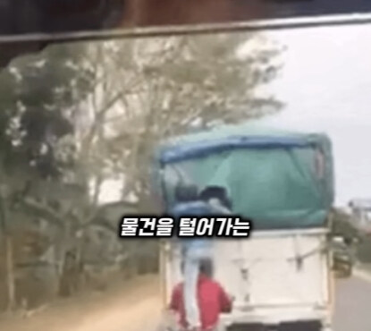 브라질의 독특한 트럭 문화.jpg | 인스티즈