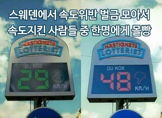 스웨덴 속도위반 벌금 | 인스티즈