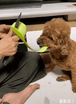 어휴 이걸 아깝게 왜 버려. gif | 인스티즈