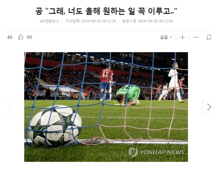 과거 새해맞이 스포츠기자의 레전드 드립 - 엽기사진실 - 이종격투기 과거 새해맞이 스포츠기자의 레전드 드립