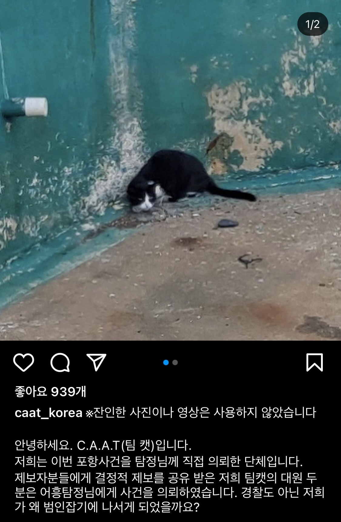 포항 고양이 연쇄토막살해 학대범 잡은 흥신소.gif포항 고양이 연쇄토막살해 학대범 잡은 흥신소.gif | 인스티즈