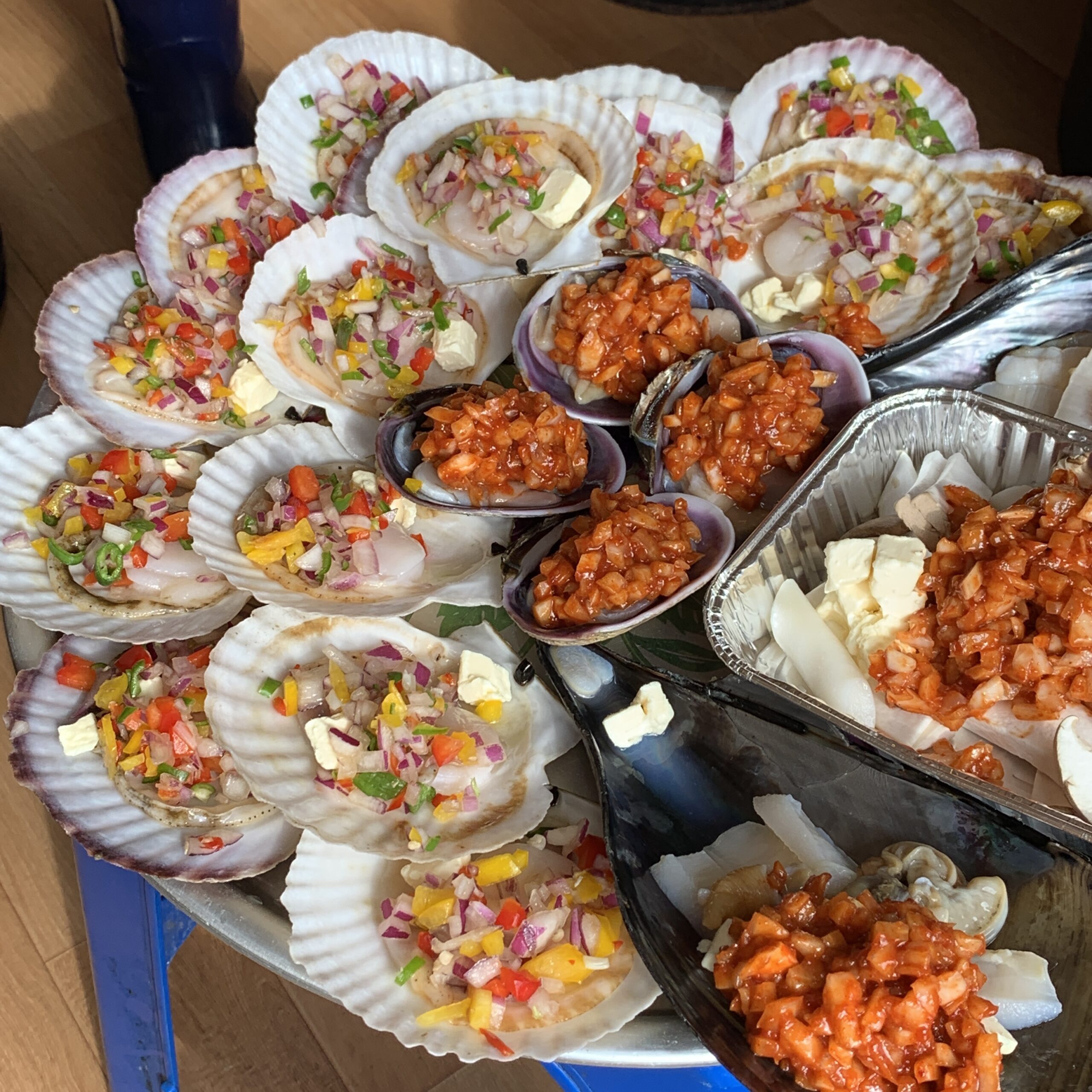 조개마당 이미지