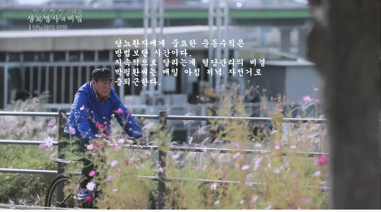 당뇨를 이긴 사람들의 운동법 | 인스티즈