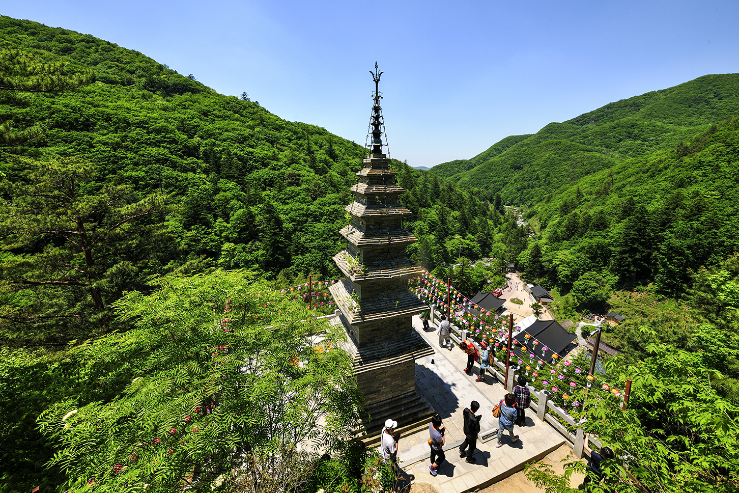 322de203fc62b7210e2d42f96e56933559b762c5