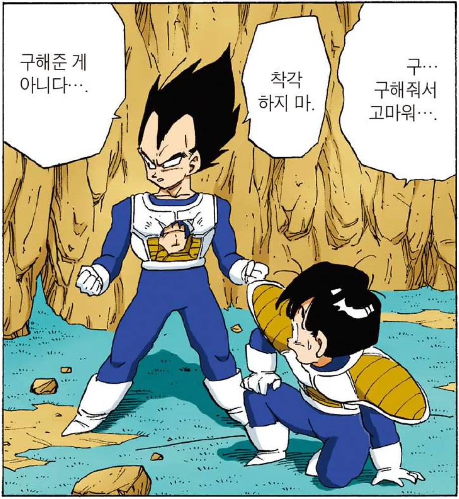 바라기 이미지