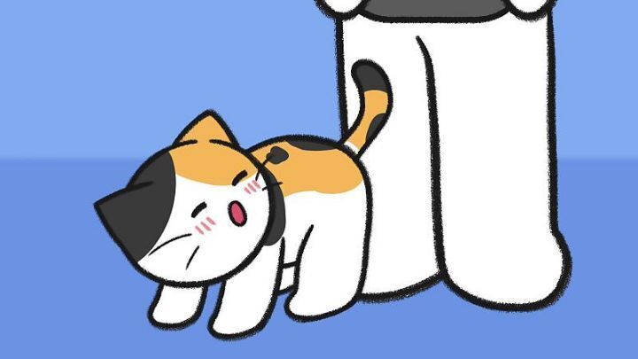 고양이가 집사에게 엉덩이를 들이미는 이유 5가지 | 인스티즈