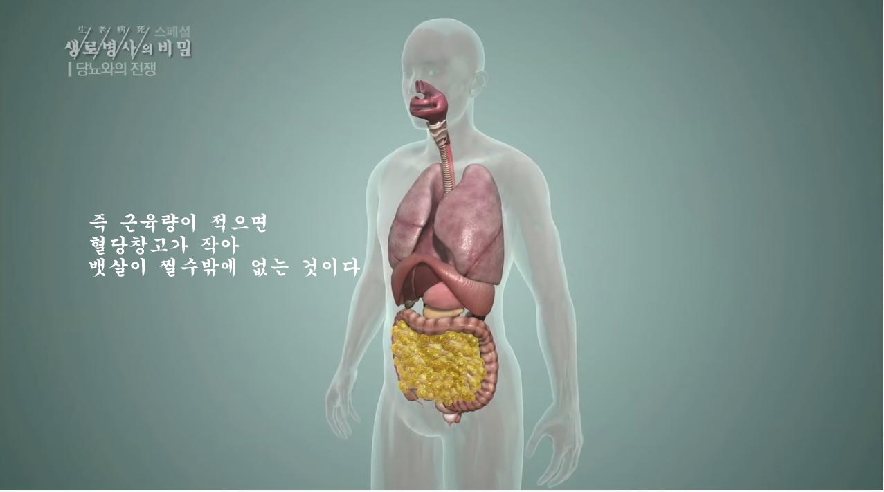 당뇨를 이긴 사람들의 운동법 | 인스티즈