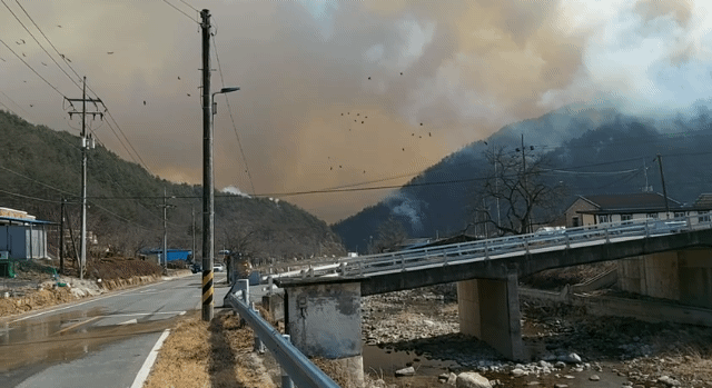울진 대형 산불 | 인스티즈