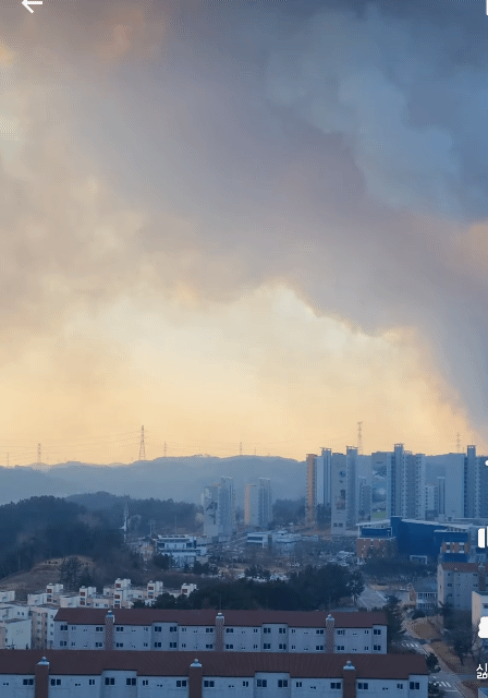 울진 대형 산불 | 인스티즈