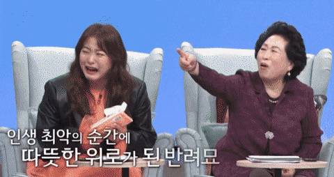 어제자 방송에서 다홍이 이야기하면서 우는 박수홍.gif | 인스티즈