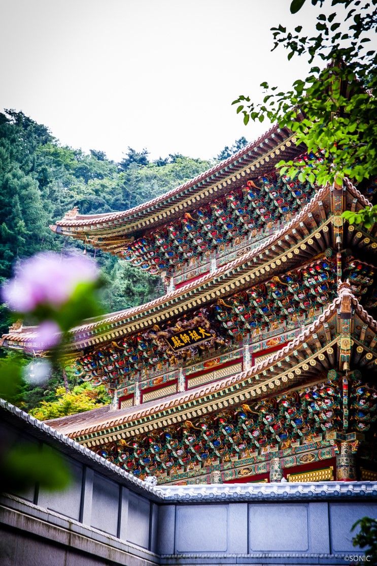 36d0e2b8ad75c656ff5b08b7d3aa6dd100352263