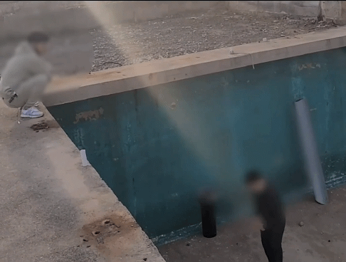 포항 고양이 연쇄토막살해 학대범 잡은 흥신소.gif포항 고양이 연쇄토막살해 학대범 잡은 흥신소.gif | 인스티즈