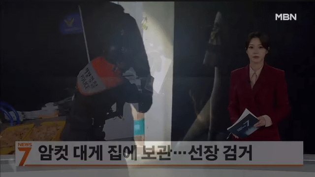  대게가 왜 이렇게 비싼가 했더니... 이유가 | 인스티즈