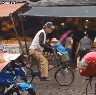 비 오는 날 장에 가신 할아버지와 댕댕이 | 인스티즈