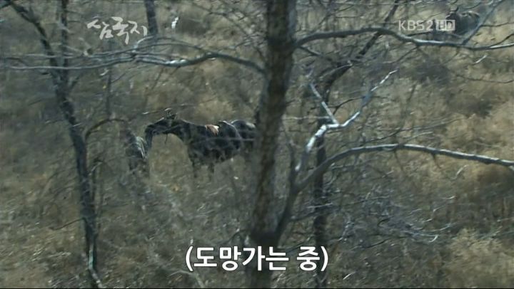 삼국지 조조 여백사 사건 | 인스티즈