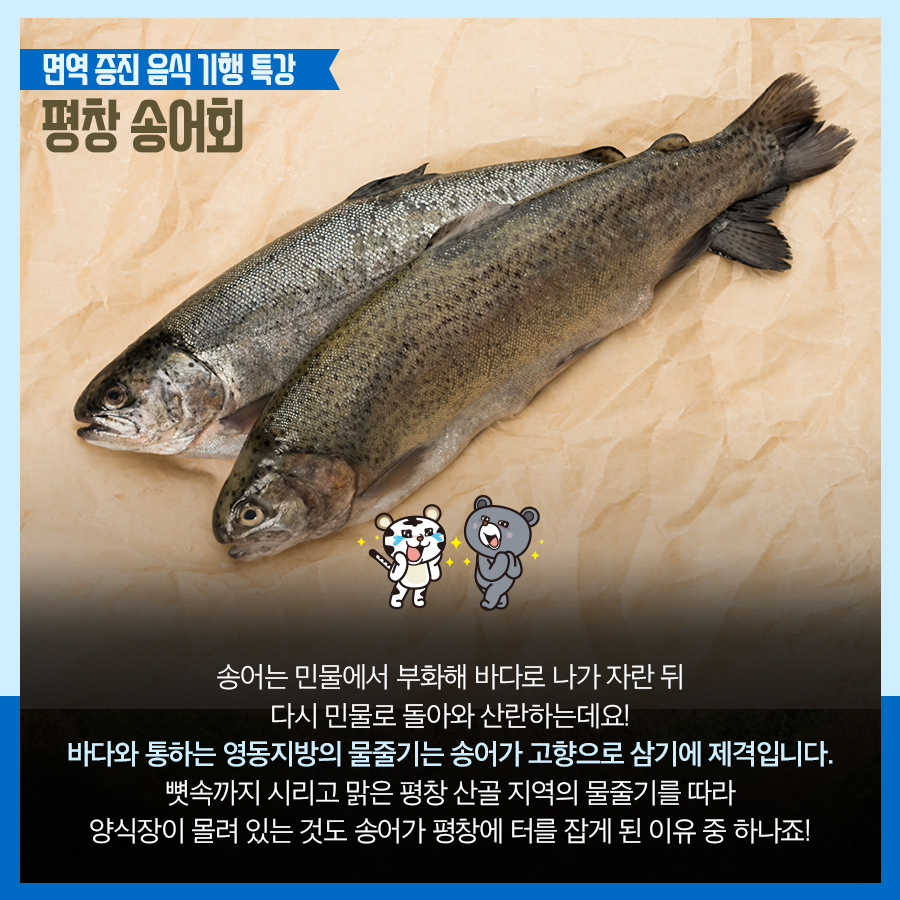 평창 "송어회" | 인스티즈
