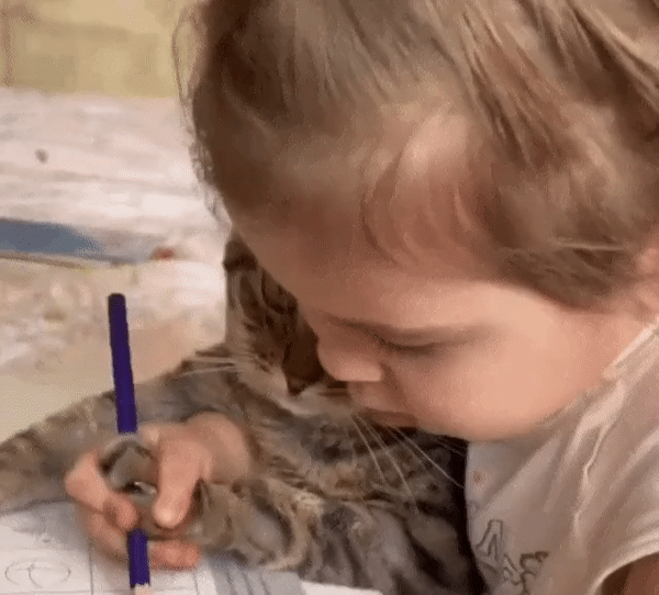 집사가 아기라서 참는 중.gif | 인스티즈